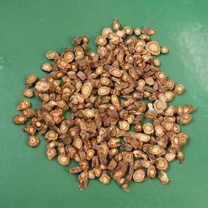 Staying Power - Ejaculation Trainer Review-Dirty Little Secret