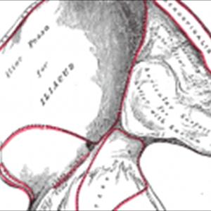 Desensitizing Creams - Scam Review Of Ejaculation By Command