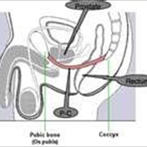 Pre Mature Eject - The Powers Of Semenax Pre Mature Eject - The Powers Of Semenax