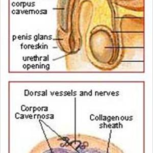 Climinax England - Tips To Prevent Early Ejaculation - Use This Simple 2-Step Method To Be Able To Enhance Your Lovemaking Stamina Climinax England - Tips To Prevent Early Ejaculation - Use This Simple 2-Step Method To Be Able To Enhance Your Lovemaking Stamina