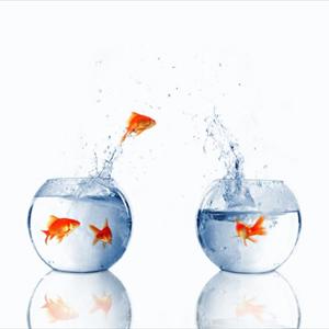 Natural Clomipramine - Premature Ejaculation Cream Will Assist However It Doesn